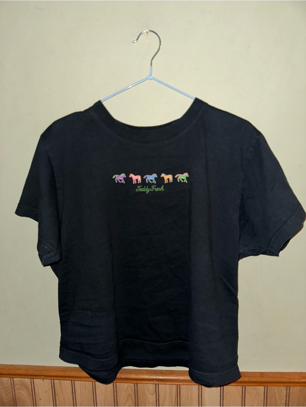 Teddy Fresh Black Tee with Rainbow Horse Row
